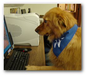 One of the dog playing counterstrike