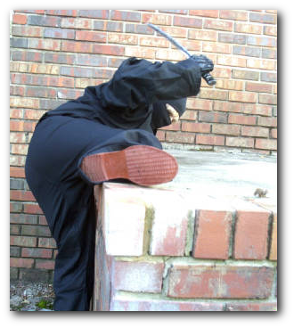 ninja Ninja