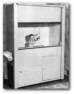 skinnerbox Skinner Box