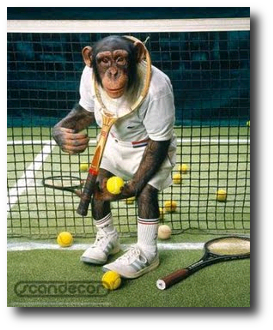 MonkeyTennis